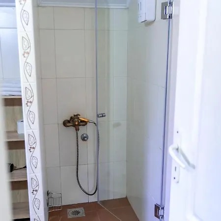 Mila 게스트하우스 아란젤로바츠